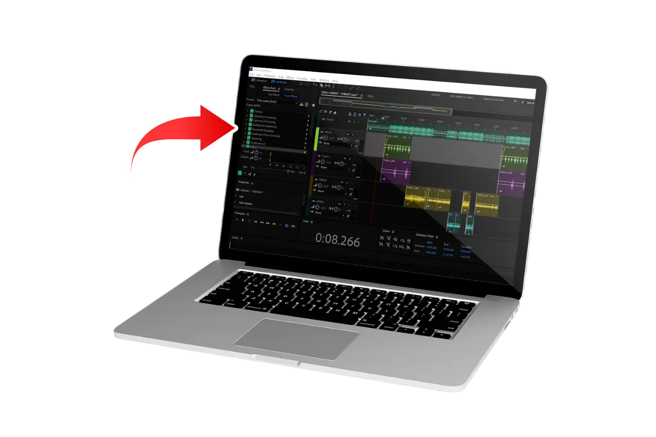 Adobe Audition Vocal Presets