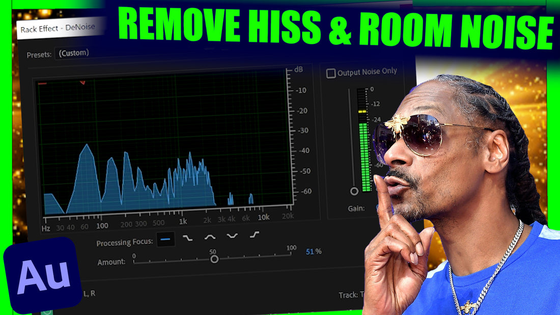 How to remove hiss & room noise with Adobe Auditions "DeNoise" plugin