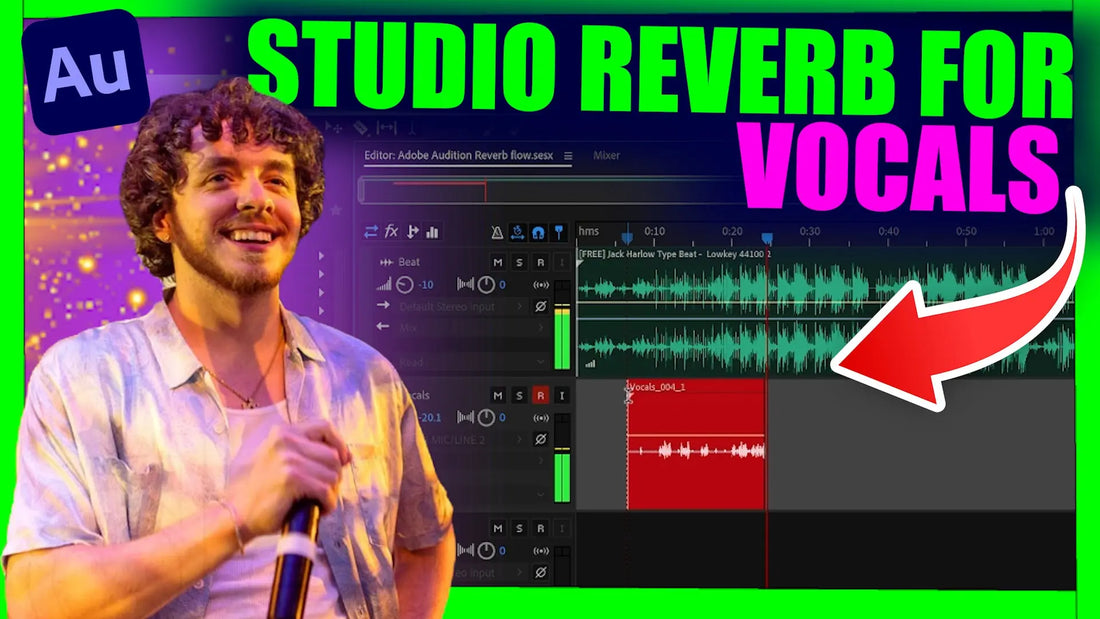 How to use ADOBE AUDITIONS REVERB