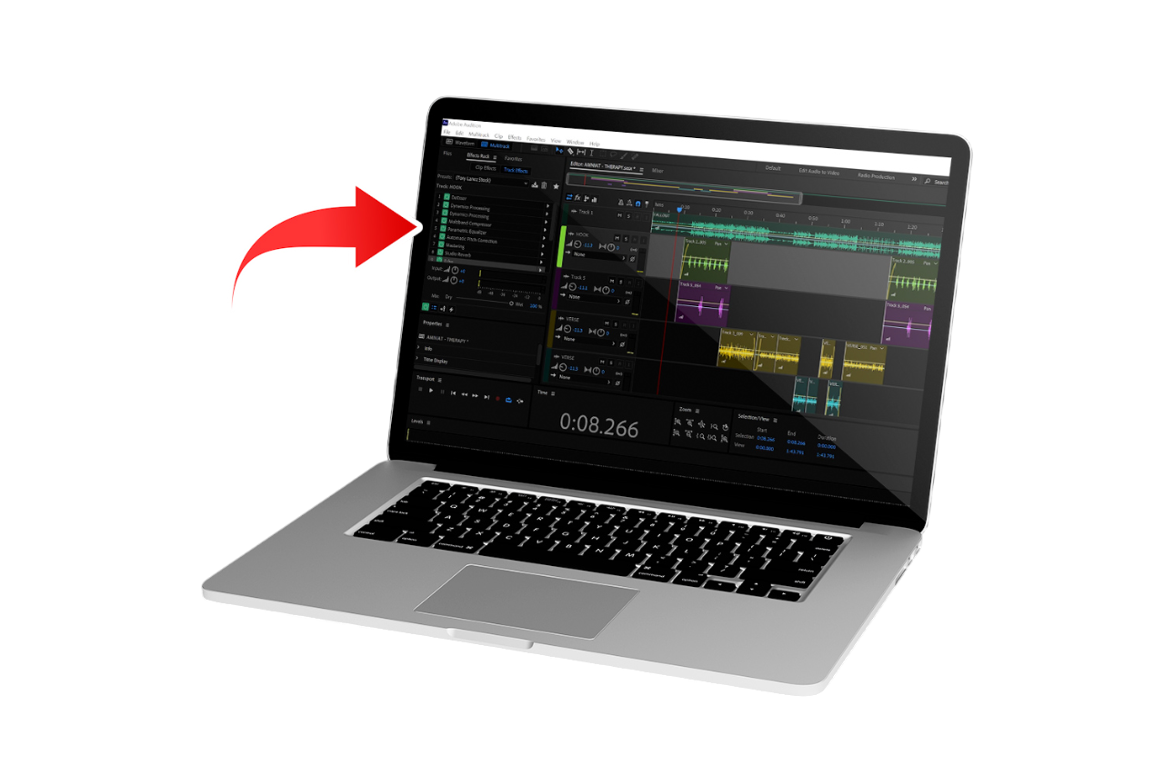 Adobe Audition Vocal Presets