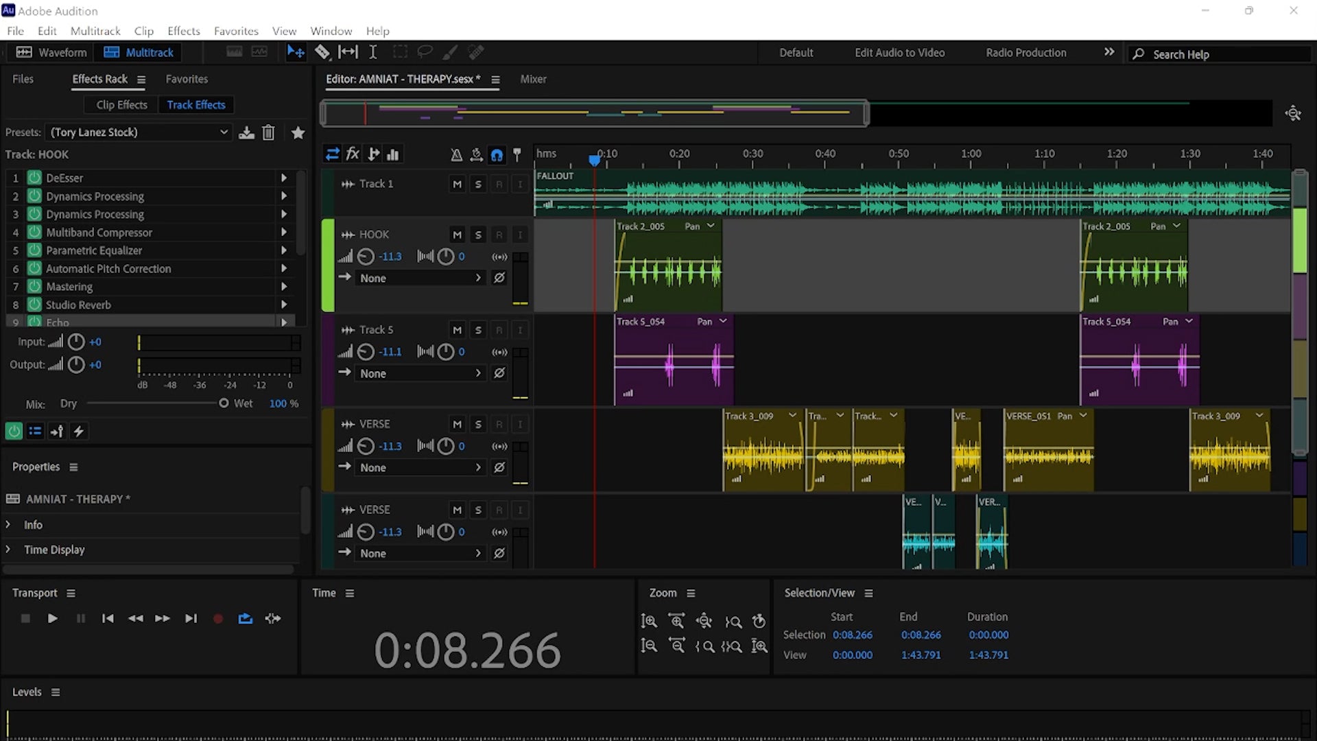 Adobe Audition Vocal Template